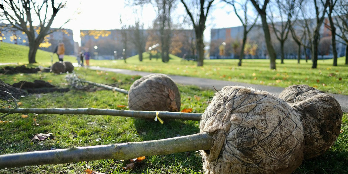 banner 10000 stromov | WebJET CMS